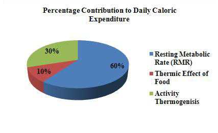 maintanace calories pie chart 1